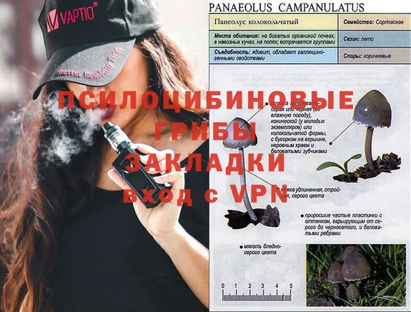 герыч Новокубанск