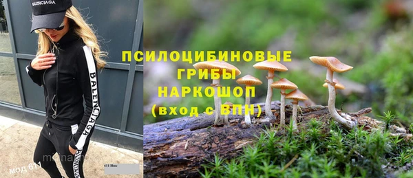 стафф Новодвинск
