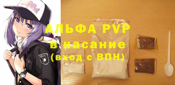 стафф Новодвинск