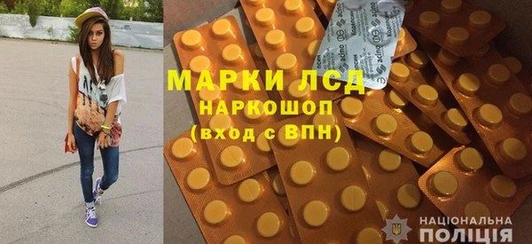 шишки Билибино