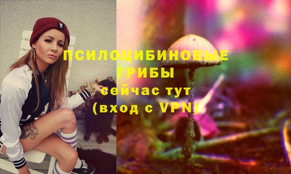 герыч Новокубанск