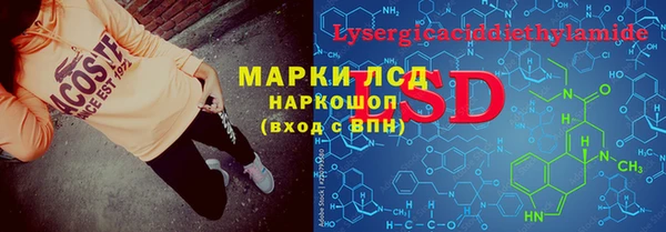 стафф Новодвинск