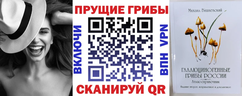 даркнет официальный сайт  MEGA ONION  Псилоцибиновые грибы ЛСД  Сергач  наркошоп 